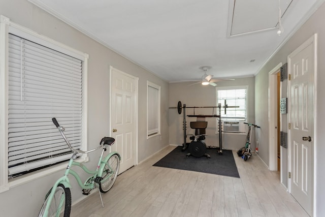 workout area featuring ceiling fan, light hardwood / wood-style flooring, and crown molding