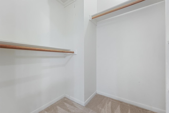 spacious closet with carpet floors