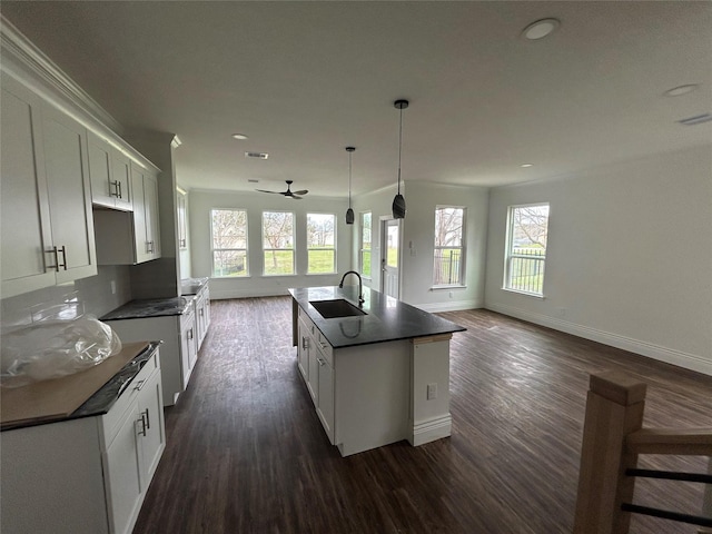 kitchen with dark countertops, dark wood-style flooring, and a sink