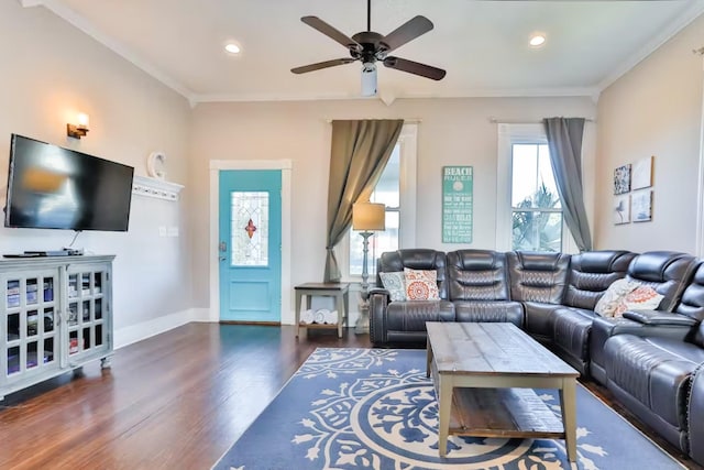 living room with ornamental molding, dark hardwood / wood-style floors, and ceiling fan