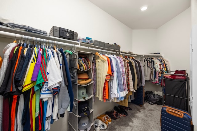 walk in closet featuring carpet flooring