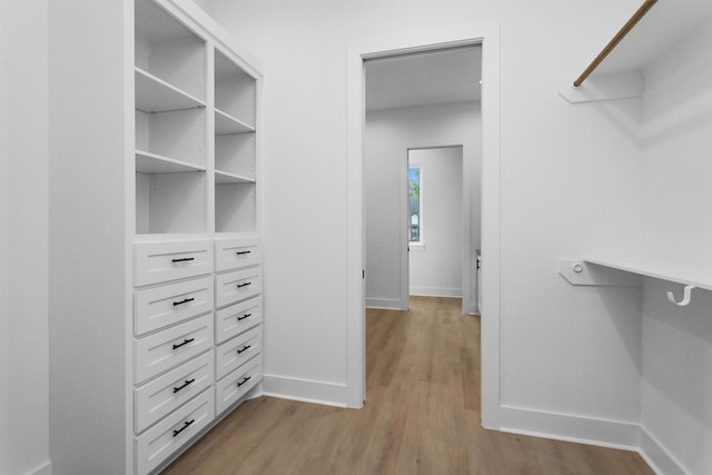 19918 Live Oak Bnd, Magnolia, TX 77355 - spacious closet with light wood-type flooring