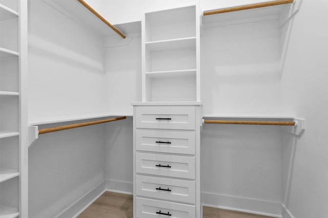 19918 Live Oak Bnd, Magnolia, TX 77355 - walk in closet with light wood finished floors