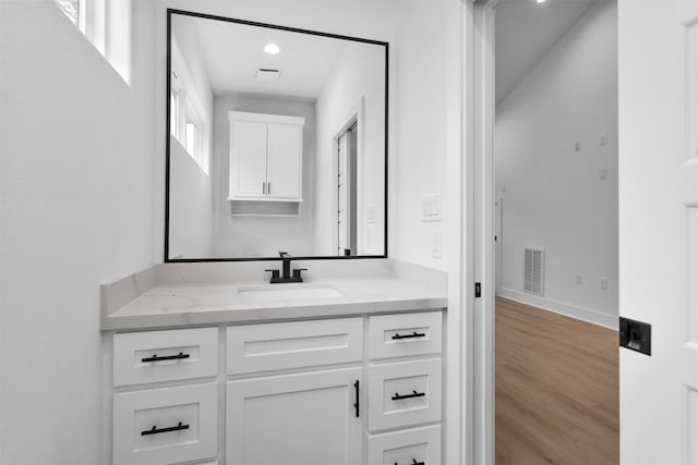 19918 Live Oak Bnd, Magnolia, TX 77355 - bathroom with vanity, baseboards, visible vents, and wood finished floors