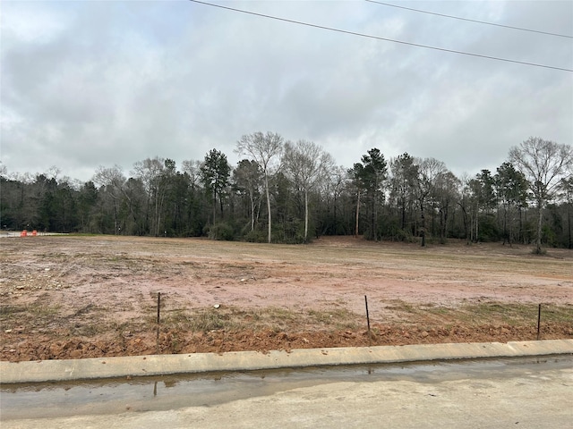 view of yard featuring a wooded view