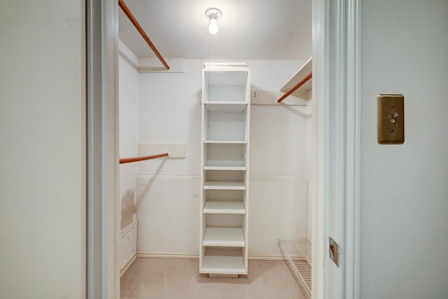 spacious closet with light carpet