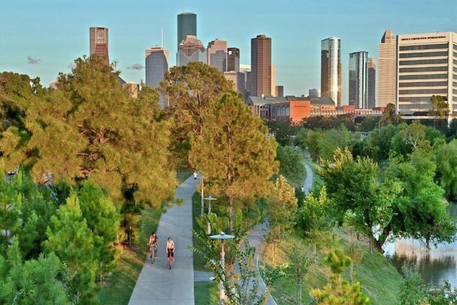 2002 Park St, Houston, TX 77019 - skyline view