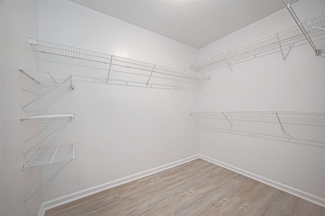 walk in closet with wood finished floors