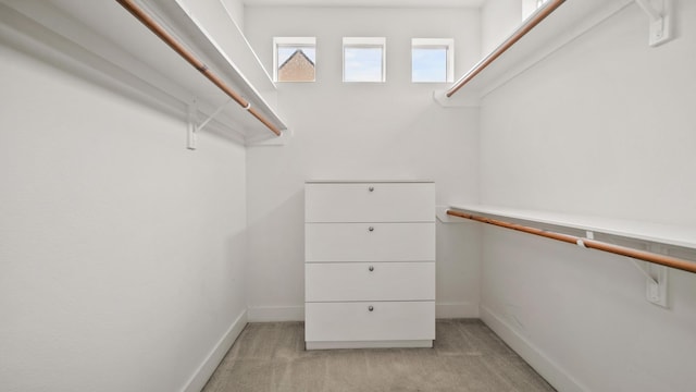 spacious closet featuring light colored carpet