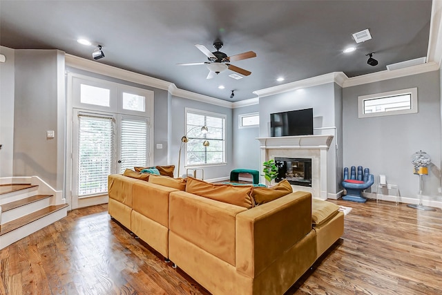 living room featuring a premium fireplace, plenty of natural light, and wood-type flooring