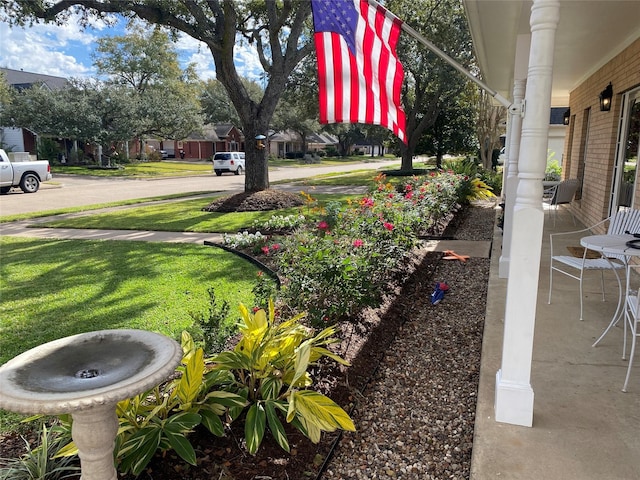 view of yard featuring a porch