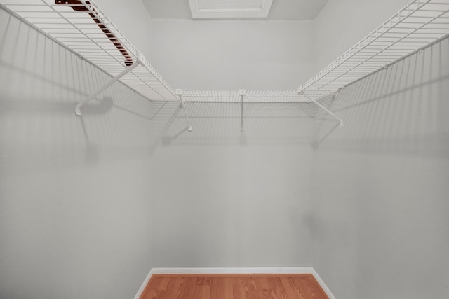 spacious closet featuring hardwood / wood-style flooring