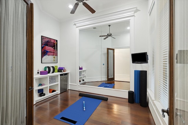 exercise area with ceiling fan, ornamental molding, and dark hardwood / wood-style floors