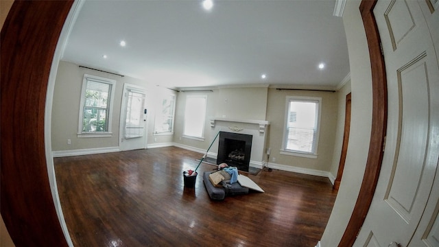 living room with a fireplace, plenty of natural light, and dark hardwood / wood-style flooring