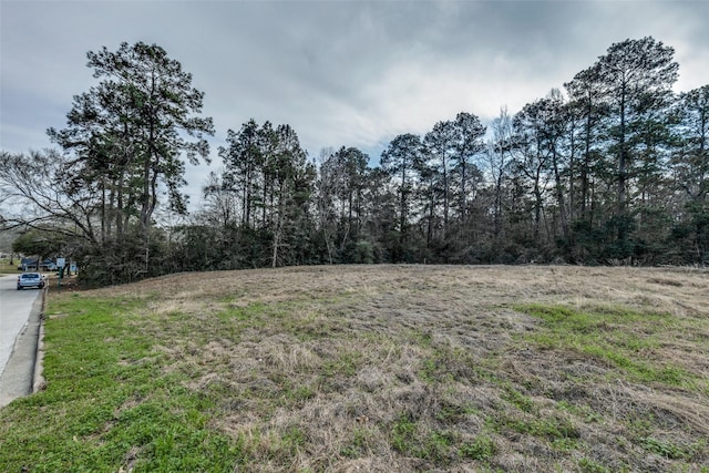 Listing photo 3 for 0 Fm-1374, Huntsville TX 77340