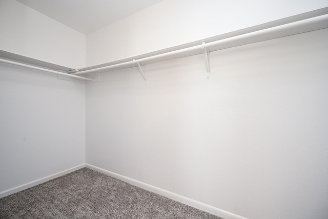 spacious closet with carpet