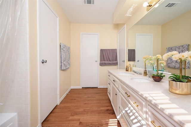 bathroom with hardwood / wood-style flooring and vanity