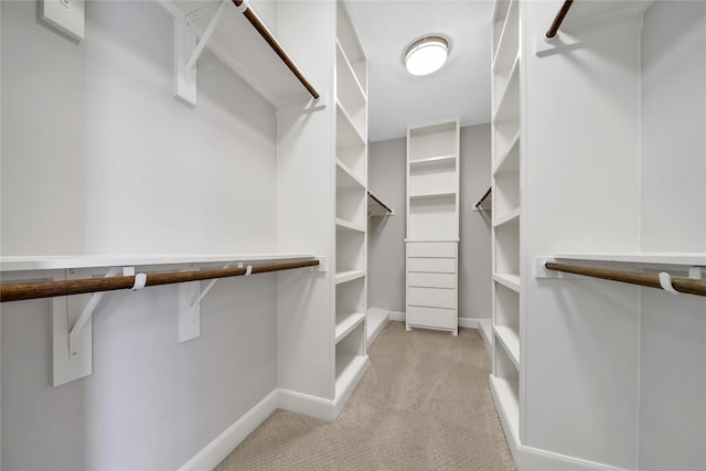 spacious closet with light colored carpet