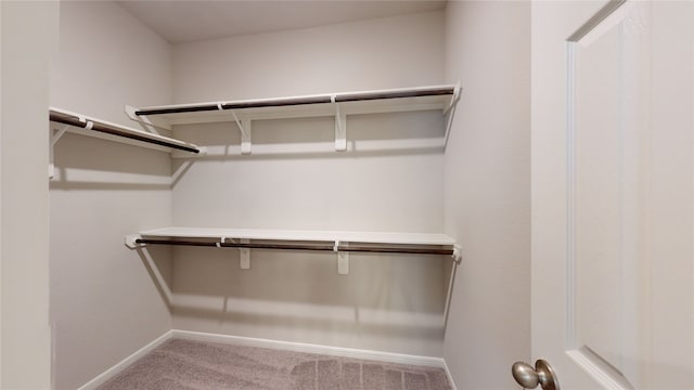 walk in closet with light colored carpet