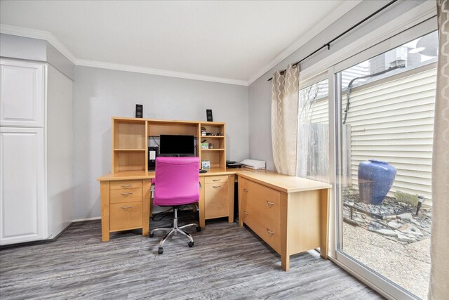 office with light wood finished floors and crown molding