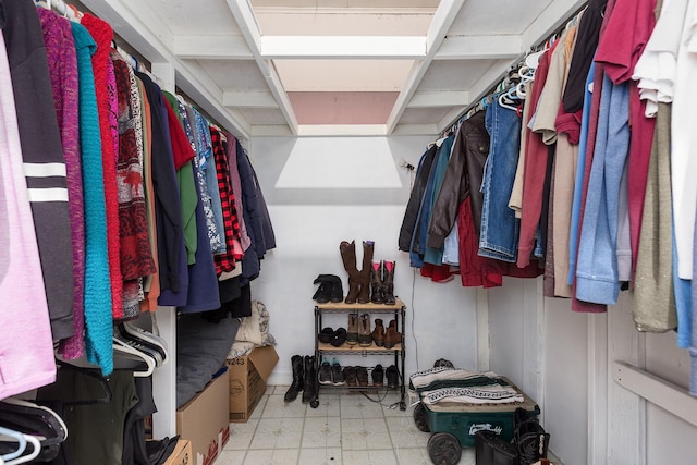 view of spacious closet