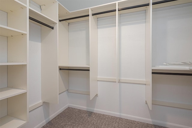 walk in closet with carpet floors