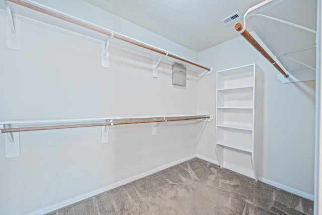 walk in closet featuring carpet floors