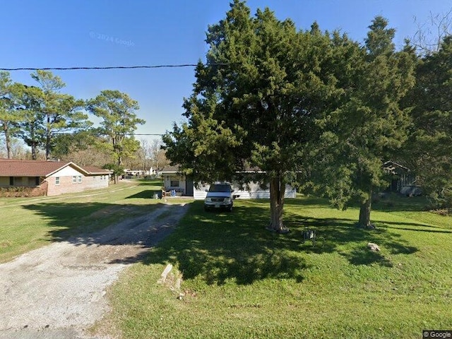 view of property hidden behind natural elements featuring driveway and a front yard