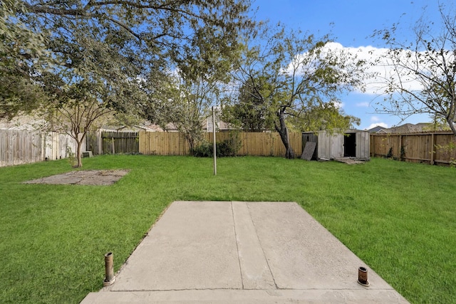 view of yard with a patio area and a storage shed