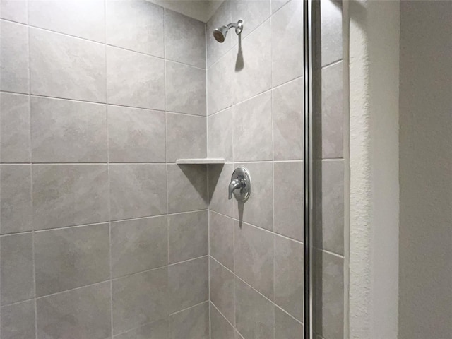 interior details featuring tiled shower