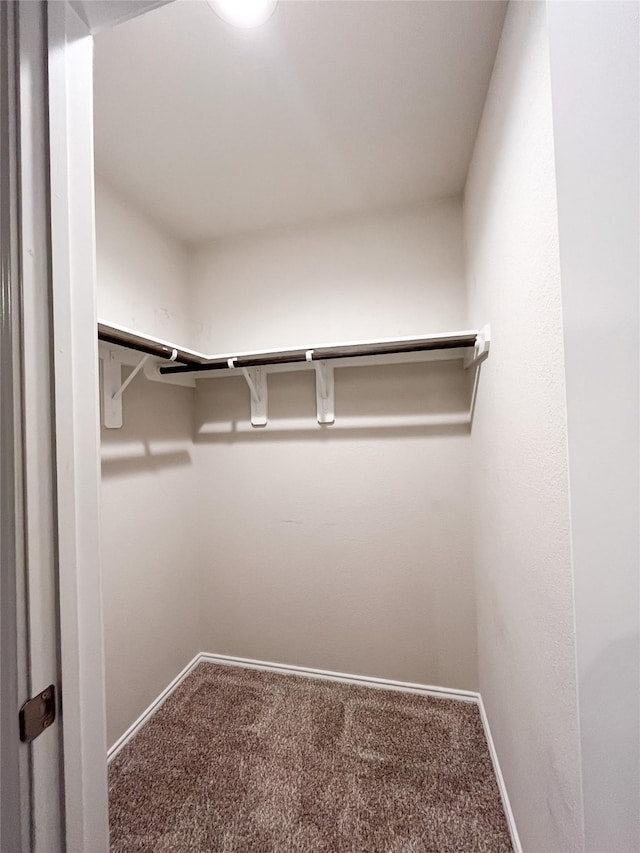 walk in closet featuring carpet flooring