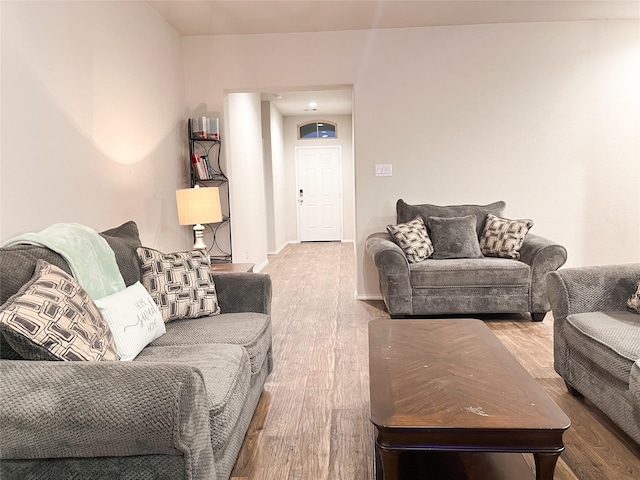 living room featuring wood-type flooring