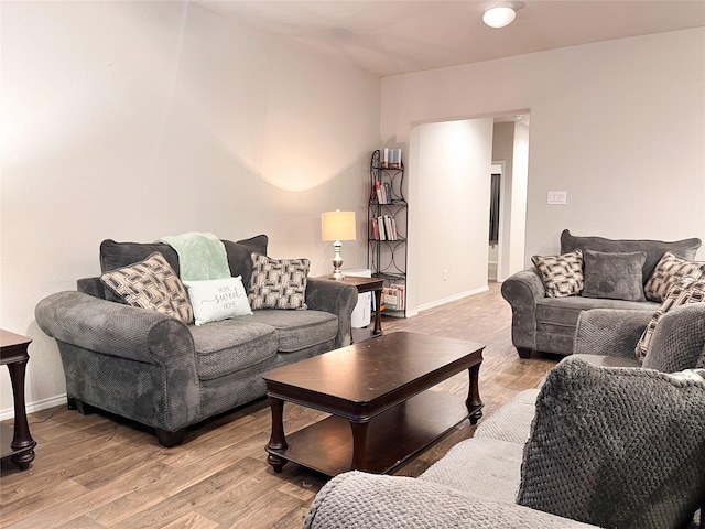 living room with wood-type flooring