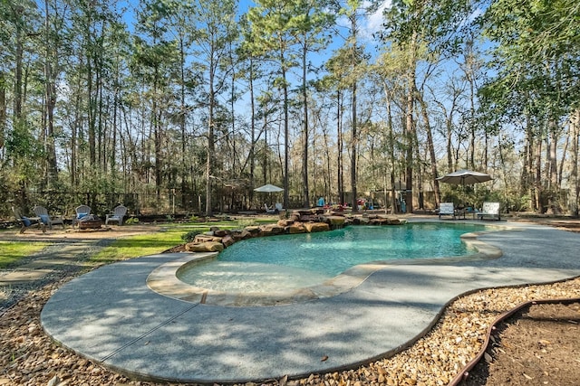 view of swimming pool