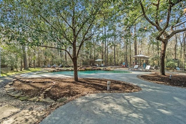 view of swimming pool