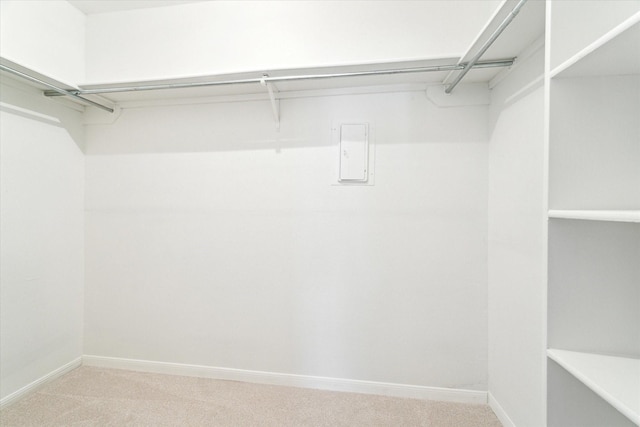 spacious closet featuring light carpet