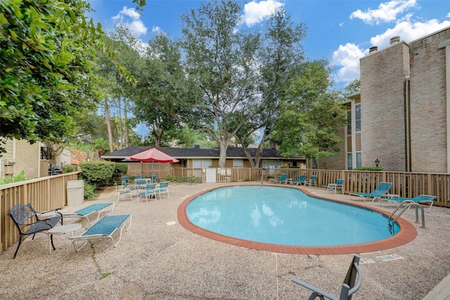 view of pool featuring a patio area