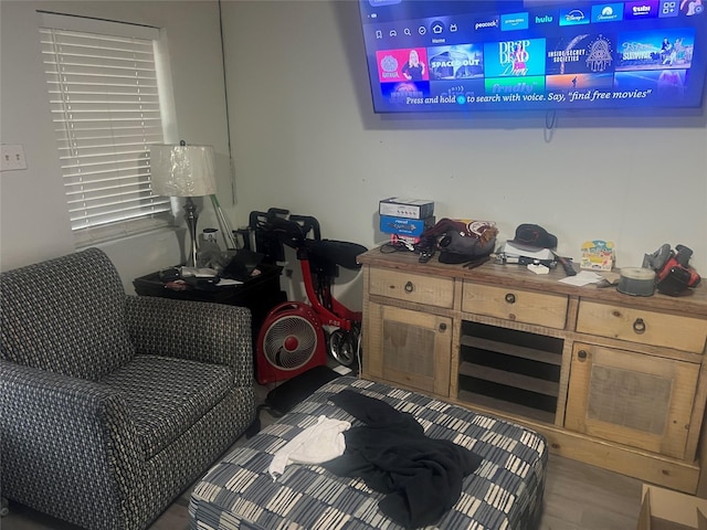 living area featuring hardwood / wood-style floors