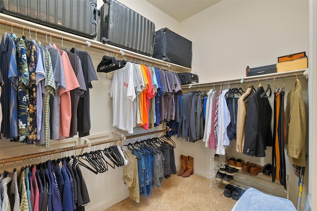 spacious closet featuring carpet flooring