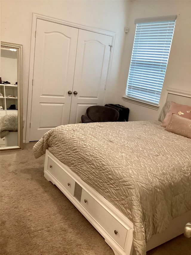 bedroom with a closet and carpet flooring