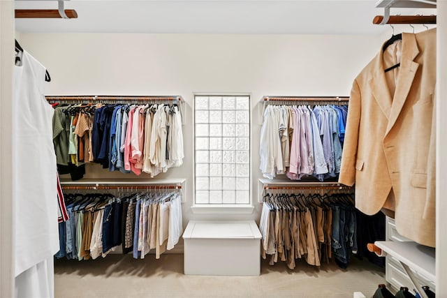 spacious closet with carpet