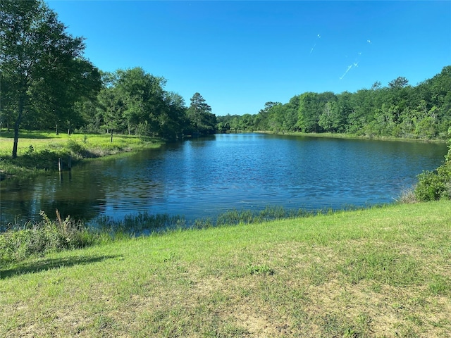 Listing photo 3 for LOT12 Deerwood Lks, Hempstead TX 77445