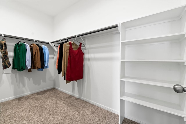 spacious closet with carpet