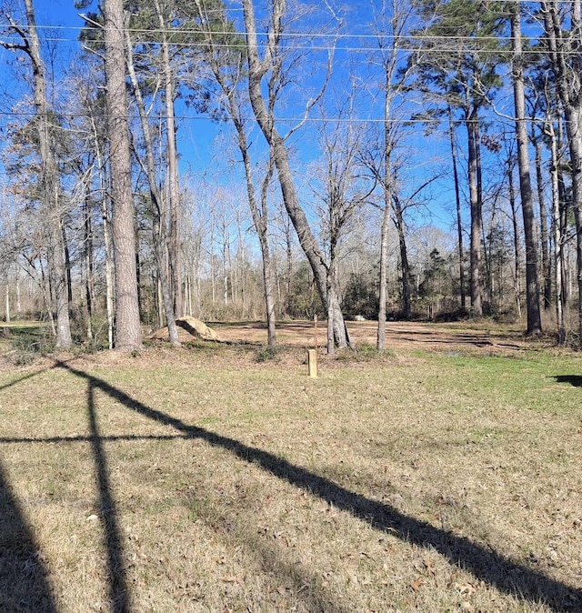 Listing photo 3 for 363 Edgewood, Onalaska TX 77360