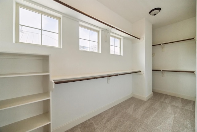 spacious closet featuring light colored carpet