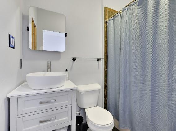 bathroom featuring toilet, a shower with shower curtain, and vanity