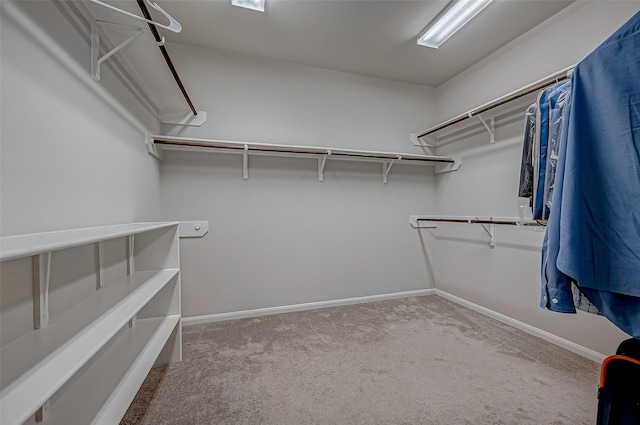 spacious closet featuring light colored carpet