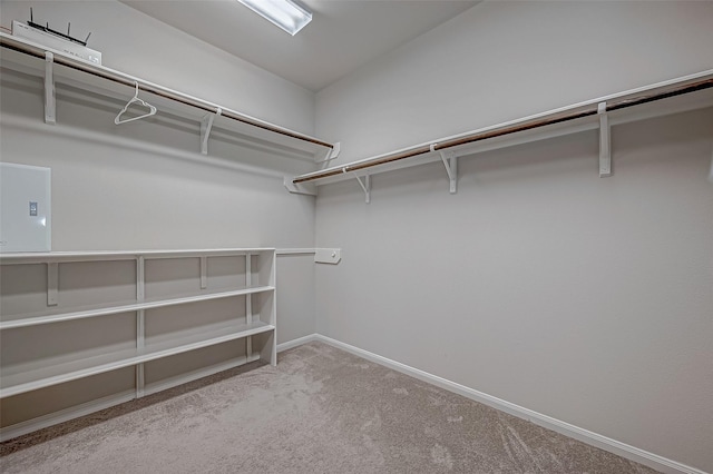 spacious closet with electric panel and light colored carpet