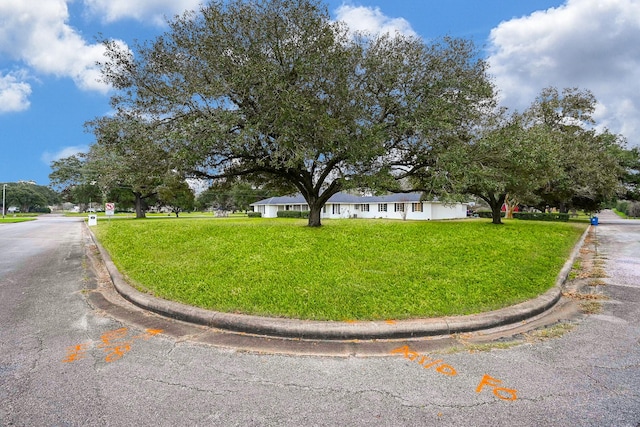 1133 Peebles St, Hempstead, TX 77445 - view of front of house with a front lawn