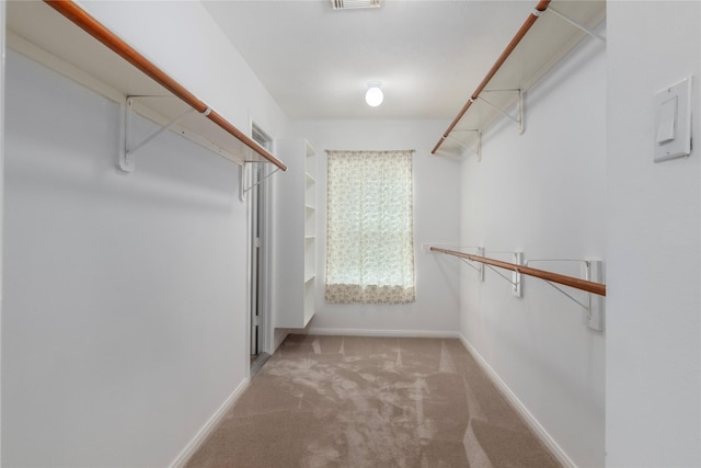 walk in closet with carpet floors